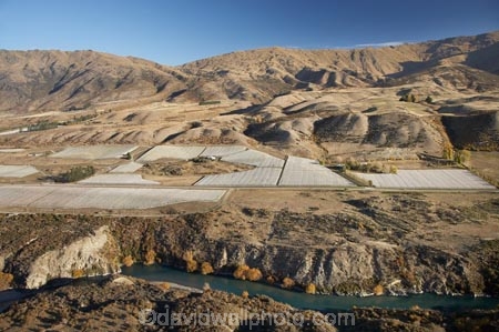 aerial;aerial-photo;aerial-photograph;aerial-photographs;aerial-photography;aerial-photos;aerial-view;aerial-views;aerials;agricultural;agriculture;Central-Otago;central-otago-vineyard;central-otago-vineyards;central-otago-wineries;central-otago-winery;country;countryside;crop;crops;cultivation;farm;farming;farmland;farms;field;fields;Gibbston-Valley;Gibbston-Valley-Vineyard;Gibbston-Valley-Vineyards;Gibston-Valley;grape;grapes;grapevine;horticulture;Kawarau-Gorge;Kawarau-River;meadow;meadows;Mount-Edward;Mt-Edward;Mt.-Edward;N.Z.;New-Zealand;NZ;Otago;paddock;paddocks;pasture;pastures;Peregrine-Vineyard;Peregrine-Vineyards;Queenstown-Region;river;rivers;row;rows;rural;S.I.;SI;South-Is.;south-island;Southern-Lakes;Southern-Lakes-District;Southern-Lakes-Region;vine;vines;vineyard;vineyards;vintage;wineage;wineries;winery;wines