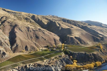 aerial;aerial-photo;aerial-photograph;aerial-photographs;aerial-photography;aerial-photos;aerial-view;aerial-views;aerials;agricultural;agriculture;autuminal;autumn;autumn-colour;autumn-colours;autumnal;Central-Otago;central-otago-vineyard;central-otago-vineyards;central-otago-wineries;central-otago-winery;Chard-Farm-Vineyard;Chard-Farm-Vineyards;Chard-Farm-Wines;color;colors;colour;colours;country;countryside;crop;crops;cultivation;deciduous;fall;farm;farming;farmland;farms;field;fields;Gibbston-Valley;Gibbston-Valley-Vineyard;Gibbston-Valley-Vineyards;Gibston-Valley;grape;grapes;grapevine;horticulture;Kawarau-Gorge;Kawarau-River;N.Z.;new-zealand;NZ;Otago;Queenstown-Region;river;rivers;row;rows;rural;S.I.;season;seasonal;seasons;SI;South-Is.;South-Island;Southern-Lakes;Southern-Lakes-District;Southern-Lakes-Region;tree;trees;vine;vines;vineyard;vineyards;vintage;wineage;wineries;winery;wines
