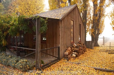 autuminal;autumn;autumn-colour;autumn-colours;autumnal;cafe;cafes;Central-Otago;color;colors;colour;colours;deciduous;fall;galleries;gallery;Gallery-Fare-on-6;Gallery-Fare-on-Six;leaf;leaves;N.Z.;New-Zealand;NZ;Otago;poplar;poplar-tree;poplar-trees;poplars;restaurant;restaurants;rustic;S.I.;season;seasonal;seasons;SI;South-Is.;South-Island;tree;trees