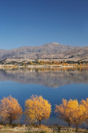 autuminal;autumn;autumn-colour;autumn-colours;autumnal;calm;Carrick-Range;Central-Otago;Clutha-Arm;color;colors;colour;colours;Cromwell;deciduous;fall;golden;lake;Lake-Dunstan;lakes;N.Z.;New-Zealand;NZ;Otago;placid;quiet;reflection;reflections;S.I.;season;seasonal;seasons;serene;SI;smooth;South-Is.;South-Island;still;tranquil;tree;trees;water;willow;willow-tree;willow-trees;willows;yellow