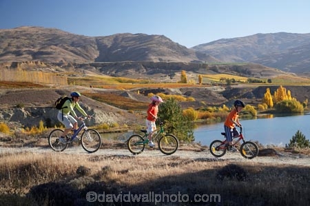autuminal;autumn;autumn-colour;autumn-colours;autumnal;Bannockburn;bicycle;bicycles;bike;bikes;Biking-Track;Biking-Tracks;boy;boys;brother;brothers;Carrick-Range;Central-Otago;child;children;color;colors;colour;colours;cycle;cycler;cyclers;cycles;cyclist;cyclists;deciduous;fall;families;family;female;females;girl;girls;kid;kids;lake;Lake-Dunstan;Lake-Dunstan-Track;Lake-Dunstan-Tracks;lakes;little-boy;little-boys;little-girl;little-girls;model-release;model-released;mother;mothers;mountain-bike;mountain-biker;mountain-bikers;mountain-bikes;Mountain-Biking-Track;Mountain-Biking-Tracks;mtn-bike;mtn-biker;mtn-bikers;mtn-bikes;N.Z.;near-Cromwell;New-Zealand;NZ;Otago;people;person;persons;push-bike;push-bikes;push_bike;push_bikes;pushbike;pushbikes;S.I.;season;seasonal;seasons;SI;sibling;siblings;sister;sisters;South-Is.;South-Island;tree;trees;Walking-Track;Walking-Tracks;woman