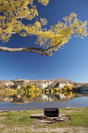 autuminal;autumn;autumn-colour;autumn-colours;autumnal;Bannockburn;Bannockburn-Inlet;barbeque;barbeques;calm;Central-Otago;color;colors;colour;colours;deciduous;fall;Kawarau-Arm;lake;Lake-Dunstan;lakes;N.Z.;New-Zealand;NZ;Otago;Picnic-Area;Picnic-Areas;Picnic-Ground;Picnic-Grounds;placid;quiet;reflection;reflections;Rest-Area;Rest-Areas;S.I.;season;seasonal;seasons;serene;SI;smooth;South-Is.;South-Island;still;tranquil;tree;trees;water;willow;willow-tree;willow-trees;willows