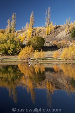 autuminal;autumn;autumn-colour;autumn-colours;autumnal;Bannockburn;Bannockburn-Inlet;bicycle;bicycles;bike;bikes;boy;boys;calm;Central-Otago;child;children;color;colors;colour;colours;cycle;cycler;cyclers;cycles;cyclist;cyclists;deciduous;fall;female;golden;Kawarau-Arm;kid;kids;lake;Lake-Dunstan;lakes;little-boy;little-boys;model-release;model-released;mother;mother-and-son;mothers;mountain-bike;mountain-biker;mountain-bikers;mountain-bikes;mtn-bike;mtn-biker;mtn-bikers;mtn-bikes;N.Z.;New-Zealand;NZ;Otago;outdoor;outdoors;people;person;placid;poplar;poplar-tree;poplar-trees;poplars;push-bike;push-bikes;push_bike;push_bikes;pushbike;pushbikes;quiet;recreation;reflection;reflections;S.I.;season;seasonal;seasons;serene;SI;smooth;son;sons;South-Is.;South-Island;still;tranquil;tree;trees;water;willow;willow-tree;willow-trees;willows;woman;yellow
