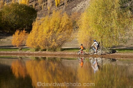 autuminal;autumn;autumn-colour;autumn-colours;autumnal;Bannockburn;Bannockburn-Inlet;bicycle;bicycles;bike;bikes;boy;boys;calm;Central-Otago;child;children;color;colors;colour;colours;cycle;cycler;cyclers;cycles;cyclist;cyclists;deciduous;fall;female;golden;Kawarau-Arm;kid;kids;lake;Lake-Dunstan;lakes;little-boy;little-boys;model-release;model-released;mother;mother-and-son;mothers;mountain-bike;mountain-biker;mountain-bikers;mountain-bikes;mtn-bike;mtn-biker;mtn-bikers;mtn-bikes;N.Z.;New-Zealand;NZ;Otago;outdoor;outdoors;people;person;placid;push-bike;push-bikes;push_bike;push_bikes;pushbike;pushbikes;quiet;recreation;reflection;reflections;S.I.;season;seasonal;seasons;serene;SI;smooth;son;sons;South-Is.;South-Island;still;tranquil;tree;trees;water;willow;willow-tree;willow-trees;willows;woman;yellow