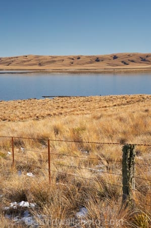 back-country;backcountry;Central-Otago;Central-Otago-peneplain;country;countryside;dam;dams;farm;farming;farmland;farms;fence;fence-line;fence-lines;fence_line;fence_lines;fenceline;fencelines;fences;Great-Moss-Swamp;high-altitude;high-country;highcountry;highland;highlands;lake;lakes;Lammermoor-Range;Lammermoor-Ranges;Logan-Burn-Dam;Logan-Burn-Reservoir;Loganburn-Dam;Loganburn-Reservoir;Maniototo;N.Z.;New-Zealand;NZ;Old-Dunstan-Road;Old-Dunstan-Track;Old-Dunstan-Trail;Otago;Otago-peneplain;remote;remoteness;rural;S.I.;SI;South-Is.;South-Island;tussock;tussocklands;tussocks;uplands
