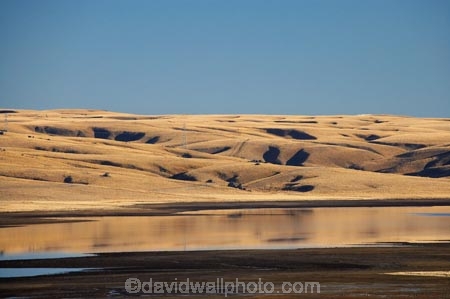 back-country;backcountry;calm;Central-Otago;Central-Otago-peneplain;country;countryside;dam;dams;farm;farming;farmland;farms;Great-Moss-Swamp;high-altitude;high-country;highcountry;highland;highlands;lake;lakes;Lammermoor-Range;Lammermoor-Ranges;Logan-Burn-Dam;Logan-Burn-Reservoir;Loganburn-Dam;Loganburn-Reservoir;Maniototo;N.Z.;New-Zealand;NZ;Old-Dunstan-Road;Old-Dunstan-Track;Old-Dunstan-Trail;Otago;Otago-peneplain;placid;quiet;reflection;reflections;remote;remoteness;rural;S.I.;serene;SI;smooth;South-Is.;South-Island;still;tranquil;tussock;tussocklands;tussocks;uplands;water;windless