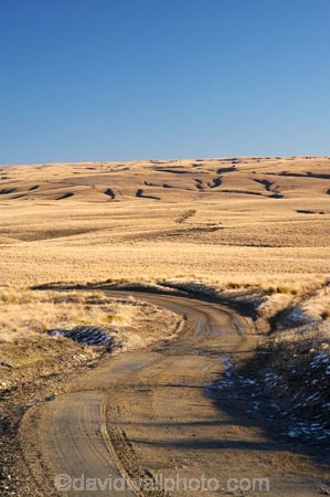 back-country;backcountry;Central-Otago;Central-Otago-peneplain;country;countryside;farm;farming;farmland;farms;gravel-road;gravel-roads;high-altitude;high-country;highcountry;highland;highlands;Lammermoor-Range;Lammermoor-Ranges;Maniototo;metal-road;metal-roads;metalled-road;metalled-roads;N.Z.;New-Zealand;NZ;Old-Dunstan-Road;Old-Dunstan-Track;Old-Dunstan-Trail;Otago;Otago-peneplain;remote;remoteness;road;roads;rural;S.I.;SI;snow;South-Is.;South-Island;tussock;tussocklands;tussocks;uiplands;upland;uplands
