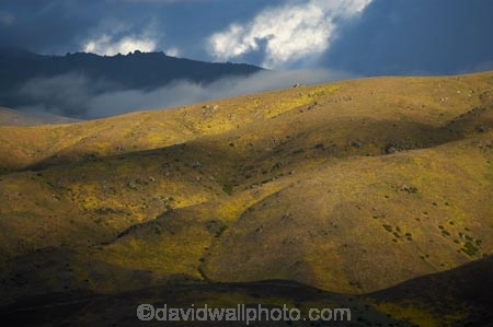 back-country;backcountry;black-cloud;black-clouds;Cairnmuir-Mountains;Central-Otago;cloud;cloudy;dark-cloud;dark-clouds;Dunstan-Mountains;grey-cloud;grey-clouds;high-altitude;high-country;highcountry;highlands;late-light;N.Z.;New-Zealand;NZ;Otago;rain-cloud;rain-clouds;remote;remoteness;S.I.;SI;South-Island;storm;storm-clouds;storms;stormy;tussock;tussock-grass;tussocks;uiplands;upland;uplands
