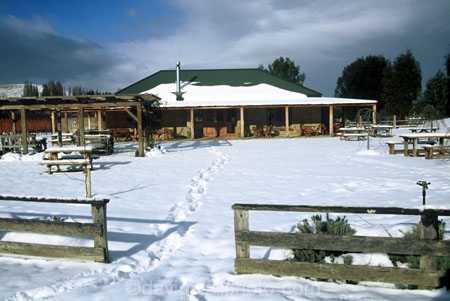 footsteps;grape;grapes;grapevine;horticulture;snow;vine;vines;vineyard;vineyards;vintage;wine;wineries;winery;wines;winter