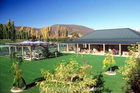 autumn;cafe;cafes;cultivation;fall;farm;farming;farms;grape;grapes;grapevine;horticulture;lawn;lawns;restaurant;restaurants;rural;tasting;vine;vines;vineyard;vineyards;vintage;wine;wineries;winery;wines
