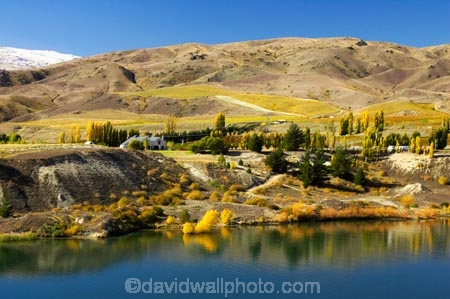 agricultural;agriculture;akarua-vineyard;akarua-winery;autuminal;autumn;autumnal;Bannockburn;Bannockburn-Inlet;cairnmuir-mountains;cairnmuir-range;Cairnmuir-Vineyard;carrick-winery;Central-Otago;color;colors;colour;colours;country;countryside;crop;crops;cultivation;deciduous;fall;farm;farming;farmland;farms;field;fields;grape;grapes;grapevine;horticulture;kawarau-arm;lake;Lake-Dunstan;lakes;leaf;leaves;New-Zealand;reflection;reflections;row;rows;rural;south-island;tree;trees;vine;vines;vineyard;vineyards;vintage;water;wine;wineries;winery;wines