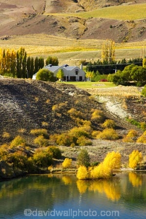 agricultural;agriculture;akarua-vineyard;akarua-winery;autuminal;autumn;autumnal;Bannockburn;Bannockburn-Inlet;cairnmuir-mountains;cairnmuir-range;Cairnmuir-Vineyard;carrick-winery;Central-Otago;color;colors;colour;colours;country;countryside;crop;crops;cultivation;deciduous;fall;farm;farming;farmland;farms;field;fields;grape;grapes;grapevine;horticulture;kawarau-arm;lake;Lake-Dunstan;lakes;leaf;leaves;New-Zealand;reflection;reflections;row;rows;rural;south-island;tree;trees;vine;vines;vineyard;vineyards;vintage;water;wine;wineries;winery;wines