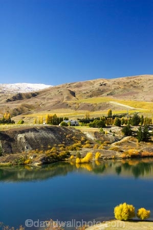 agricultural;agriculture;akarua-vineyard;akarua-winery;autuminal;autumn;autumnal;Bannockburn;Bannockburn-Inlet;cairnmuir-mountains;cairnmuir-range;Cairnmuir-Vineyard;carrick-winery;Central-Otago;color;colors;colour;colours;country;countryside;crop;crops;cultivation;deciduous;fall;farm;farming;farmland;farms;field;fields;grape;grapes;grapevine;horticulture;kawarau-arm;lake;Lake-Dunstan;lakes;leaf;leaves;New-Zealand;reflection;reflections;row;rows;rural;south-island;tree;trees;vine;vines;vineyard;vineyards;vintage;water;wine;wineries;winery;wines