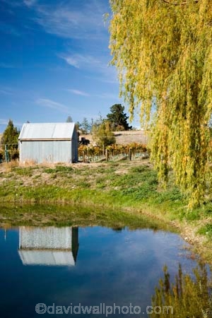 agricultural;agriculture;autuminal;autumn;autumnal;Bannockburn;Central-Otago;central-otago-vineyard;central-otago-vineyards;central-otago-wineries;central-otago-winery;color;colors;colour;colours;country;countryside;Cromwell;crop;crops;cultivation;dam;dams;deciduous;Domain-Rd-Vineyard;Domain-Road-Vineyard;fall;farm;farming;farmland;farms;grape;grapes;grapevine;horticulture;irrigation-dam;irrigation-dams;irrigation-pond;irrigation-reservoir;irrigation-reservoirs;irriigation-ponds;lake;leaf;leaves;N.Z.;New-Zealand;NZ;Otago;Pinot-Noir;pond;ponds;reflect;reflection;reflections;reservoir;reservoirs;rural;season;seasonal;seasons;South-Island;tree;trees;vine;vines;vineyard;vineyards;vintage;water_hole;willow;willow-tree;willow-trees;willows;wineage;wineries;winery;wines;yellow