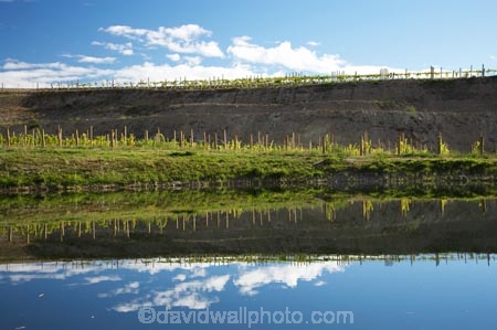 agricultural;agriculture;Bannockburn;Central-Otago;central-otago-vineyard;central-otago-vineyards;central-otago-wineries;central-otago-winery;country;countryside;Cromwell;crop;crops;cultivation;dam;dams;Domain-Rd-Vineyard;Domain-Road-Vineyard;farm;farming;farmland;farms;field;fields;grape;grapes;grapevine;horticulture;irrigation-dam;irrigation-dams;irrigation-pond;irrigation-reservoir;irrigation-reservoirs;irriigation-ponds;lake;N.Z.;New-Zealand;NZ;Otago;pond;ponds;reflect;reflection;reflections;reservoir;reservoirs;row;rows;rural;S.I.;SI;South-Island;vine;vines;vineyard;vineyards;vintage;water_hole;wineage;wineries;winery;wines