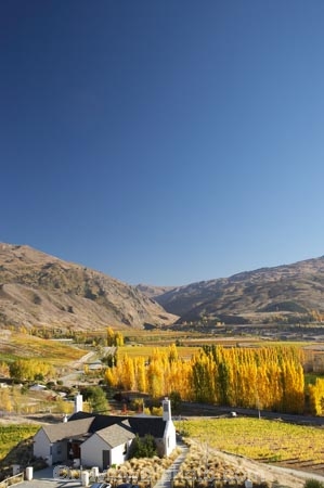 agricultural;agriculture;autuminal;autumn;autumn-colour;autumn-colours;autumnal;Bannockburn;cafe;cafes;Central-Otago;central-otago-vineyard;central-otago-vineyards;central-otago-wineries;central-otago-winery;color;colors;colour;colours;country;countryside;crop;crops;cultivation;deciduous;dining;fall;farm;farming;farmland;farms;field;fields;golden;grape;grapes;grapevine;horticulture;Mount-Difficulty-Vineyard;Mount-Difficulty-Vineyards;Mount-Difficulty-Winery;Mount-Difficulty-Wines;Mount-Michael;Mt-Difficulty-Vineyard;Mt-Difficulty-Vineyards;Mt-Difficulty-wine-tasting-room;Mt-Difficulty-Winery;Mt-Difficulty-Wines;Mt-Michael;Mt.-Difficulty-Vineyard;Mt.-Difficulty-Vineyards;Mt.-Difficulty-Winery;Mt.-Difficulty-Wines;Mt.-Michael;N.Z.;near-Cromwell;New-Zealand;NZ;Otago;poplar;poplar-tree;poplar-trees;poplars;restaurant;restaurants;row;rows;rural;S.I.;season;seasonal;seasons;SI;South-Is.;South-Island;tree;trees;vine;vines;vineyard;vineyards;vintage;wineage;wineries;winery;wines;yellow