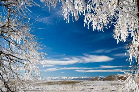 agricultural;agriculture;beautiful;calm;calmness;Central-Otago;Central-Otago-Rail-Trail;clean;clear;cold;Coldness;Color;Colour;country;countryside;Daytime;Exterior;farm;farming;farmland;farms;field;fields;freeze;freezing;freezing-fog;frost;Frosted;frosty;Hawkdun-Range;Hawkdun-Ranges;high-country;hoar-frost;hoar-frosts;Hoarfrost;hoarfrosts;ice;ice-crystals;icy;idyllic;Landscape;Landscapes;Maniototo;meadow;meadows;N.Z.;natural;Nature;new-zealand;NZ;Omakau;Otago;Otago-Central-Rail-Trail;Outdoor;Outdoors;Outside;paddock;paddocks;pasture;pastures;peaceful;Peacefulness;phenomena;phenomenon;pure;Quiet;Quietness;rail-trail;rail-trails;rime;rime-ice;rural;S.I.;Scenic;Scenics;Season;Seasons;SI;silence;south-island;spectacular;stunning;tranquil;tranquility;tree;trees;view;water;weather;White;willow;willow-tree;willow-trees;willows;winter;Wintertime;wintery;wintry
