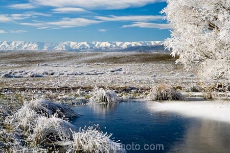 agricultural;agriculture;beautiful;calm;calmness;Central-Otago;Central-Otago-Rail-Trail;clean;clear;cold;Coldness;Color;Colour;country;countryside;Daytime;Exterior;farm;farming;farmland;farms;field;fields;freeze;freezing;freezing-fog;frost;Frosted;frosty;Hawkdun-Range;Hawkdun-Ranges;high-country;hoar-frost;hoar-frosts;Hoarfrost;hoarfrosts;ice;ice-crystals;icy;idyllic;Landscape;Landscapes;Maniototo;meadow;meadows;N.Z.;natural;Nature;new-zealand;NZ;Omakau;Otago;Otago-Central-Rail-Trail;Outdoor;Outdoors;Outside;paddock;paddocks;pasture;pastures;peaceful;Peacefulness;phenomena;phenomenon;pond;ponds;pool;pools;pure;Quiet;Quietness;rail-trail;rail-trails;reservoir;reservoirs;rime;rime-ice;rural;S.I.;Scenic;Scenics;Season;Seasons;SI;silence;south-island;spectacular;stunning;tranquil;tranquility;tree;trees;view;water;weather;White;willow;willow-tree;willow-trees;willows;winter;Wintertime;wintery;wintry