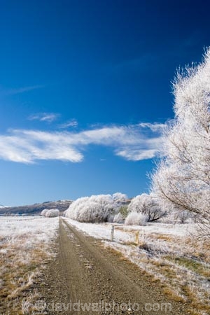 agricultural;agriculture;beautiful;calm;calmness;Central-Otago;Central-Otago-Rail-Trail;clean;clear;cold;Coldness;Color;Colour;country;countryside;Daytime;Exterior;farm;farming;farmland;farms;field;fields;freeze;freezing;freezing-fog;frost;Frosted;frosty;high-country;hoar-frost;hoar-frosts;Hoarfrost;hoarfrosts;ice;ice-crystals;icy;Ida-Valley;idyllic;Landscape;Landscapes;Maniototo;meadow;meadows;N.Z.;natural;Nature;new-zealand;NZ;Otago;Otago-Central-Rail-Trail;Oturehua;Outdoor;Outdoors;Outside;paddock;paddocks;pasture;pastures;peaceful;Peacefulness;phenomena;phenomenon;pure;Quiet;Quietness;rail-trail;rail-trails;rime;rime-ice;rural;S.I.;Scenic;Scenics;Season;Seasons;SI;silence;south-island;spectacular;stunning;tranquil;tranquility;tree;trees;view;water;weather;White;willow;willow-tree;willow-trees;willows;winter;Wintertime;wintery;wintry