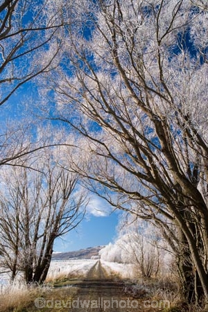 agricultural;agriculture;beautiful;calm;calmness;Central-Otago;Central-Otago-Rail-Trail;clean;clear;cold;Coldness;Color;Colour;country;countryside;Daytime;Exterior;farm;farming;farmland;farms;field;fields;freeze;freezing;freezing-fog;frost;Frosted;frosty;high-country;hoar-frost;hoar-frosts;Hoarfrost;hoarfrosts;ice;ice-crystals;icy;Ida-Valley;idyllic;Landscape;Landscapes;Maniototo;meadow;meadows;N.Z.;natural;Nature;new-zealand;NZ;Otago;Otago-Central-Rail-Trail;Oturehua;Outdoor;Outdoors;Outside;paddock;paddocks;pasture;pastures;peaceful;Peacefulness;phenomena;phenomenon;pure;Quiet;Quietness;rail-trail;rail-trails;rime;rime-ice;rural;S.I.;Scenic;Scenics;Season;Seasons;SI;silence;south-island;spectacular;stunning;tranquil;tranquility;tree;trees;view;water;weather;White;willow;willow-tree;willow-trees;willows;winter;Wintertime;wintery;wintry