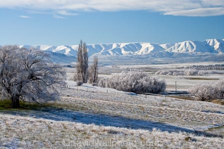 agricultural;agriculture;beautiful;calm;calmness;Central-Otago;clean;clear;cold;Coldness;Color;Colour;country;countryside;Daytime;Exterior;farm;farming;farmland;farms;field;fields;freeze;freezing;freezing-fog;frost;Frosted;frosty;Hawkdun-Range;Hawkdun-Ranges;high-country;hoar-frost;hoar-frosts;Hoarfrost;hoarfrosts;ice;ice-crystals;icy;Ida-Valley;idyllic;Landscape;Landscapes;Maniototo;meadow;meadows;N.Z.;natural;Nature;new-zealand;NZ;Otago;Outdoor;Outdoors;Outside;paddock;paddocks;pasture;pastures;peaceful;Peacefulness;phenomena;phenomenon;Poolburn;poplar;poplar-tree;poplar-trees;poplars;pure;Quiet;Quietness;rime;rime-ice;rural;S.I.;Scenic;Scenics;Season;Seasons;SI;silence;south-island;spectacular;stunning;tranquil;tranquility;tree;trees;view;water;weather;White;willow;willow-tree;willow-trees;willows;winter;Wintertime;wintery;wintry