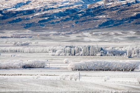 agricultural;agriculture;beautiful;calm;calmness;Central-Otago;clean;clear;cold;Coldness;Color;Colour;country;countryside;Daytime;Exterior;farm;farming;farmland;farms;field;fields;freeze;freezing;freezing-fog;frost;Frosted;frosty;high-country;hoar-frost;hoar-frosts;Hoarfrost;hoarfrosts;ice;ice-crystals;icy;Ida-Valley;idyllic;Landscape;Landscapes;Maniototo;meadow;meadows;N.Z.;natural;Nature;new-zealand;NZ;Otago;Outdoor;Outdoors;Outside;paddock;paddocks;pasture;pastures;peaceful;Peacefulness;phenomena;phenomenon;Poolburn;pure;Quiet;Quietness;rime;rime-ice;rural;S.I.;Scenic;Scenics;Season;Seasons;SI;silence;south-island;spectacular;stunning;tranquil;tranquility;view;water;weather;White;wind-break;wind-breaks;wind_break;wind_breaks;windbreak;windbreaks;winter;Wintertime;wintery;wintry