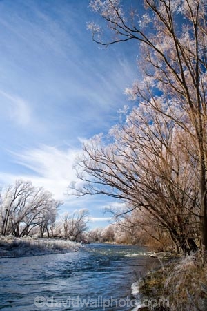 beautiful;calm;calmness;Central-Otago;clean;clear;cold;Coldness;Color;Colour;Daytime;Exterior;freeze;freezing;freezing-fog;frost;Frosted;frosty;high-country;hoar-frost;hoar-frosts;Hoarfrost;hoarfrosts;ice;ice-crystals;icy;idyllic;Landscape;Landscapes;Maniototo;Manuherikia-River;N.Z.;natural;Nature;new-zealand;NZ;Ophir;Otago;Outdoor;Outdoors;Outside;peaceful;Peacefulness;phenomena;phenomenon;pure;Quiet;Quietness;rime;rime-ice;river;rivers;S.I.;Scenic;Scenics;Season;Seasons;SI;silence;south-island;spectacular;stunning;tranquil;tranquility;tree;trees;view;water;weather;White;willow;willow-tree;willow-trees;willows;winter;Wintertime;wintery;wintry