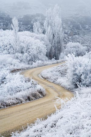 Alexandra;beautiful;Butchers-Dam;calm;calmness;Central-Otago;clean;clear;cold;Coldness;Color;Colour;countryside;Daytime;dusty;Exterior;freeze;freezing;freezing-fog;frost;Frosted;frosty;gravel-road;gravel-roads;high-country;hoar-frost;hoar-frosts;Hoarfrost;hoarfrosts;ice;ice-crystals;icy;icy-road;icy-roads;idyllic;Landscape;Landscapes;metal-road;metal-roads;metalled-road;metalled-roads;N.Z.;natural;Nature;new-zealand;NZ;Otago;Outdoor;Outdoors;Outside;peaceful;Peacefulness;phenomena;phenomenon;poplar;poplar-tree;poplar-trees;poplars;pure;Quiet;Quietness;rime;rime-ice;road;roads;rural;S.I.;Scenic;Scenics;Season;Seasons;SI;silence;slippery-road;slippery-roads;south-island;spectacular;stunning;tranquil;tranquility;tree;trees;view;water;weather;White;winter;winter-driving;winter-driving-conditions;winter-road;winter-roads;Wintertime;wintery;wintry