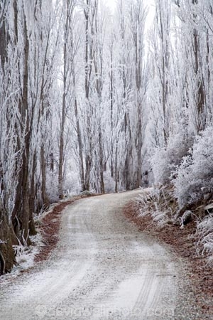 Alexandra;beautiful;Butchers-Dam;calm;calmness;Central-Otago;clean;clear;cold;Coldness;Color;Colour;countryside;Daytime;dusty;Exterior;freeze;freezing;freezing-fog;frost;Frosted;frosty;gravel-road;gravel-roads;high-country;hoar-frost;hoar-frosts;Hoarfrost;hoarfrosts;ice;ice-crystals;icy;icy-road;icy-roads;idyllic;Landscape;Landscapes;metal-road;metal-roads;metalled-road;metalled-roads;N.Z.;natural;Nature;new-zealand;NZ;Otago;Outdoor;Outdoors;Outside;peaceful;Peacefulness;phenomena;phenomenon;poplar;poplar-tree;poplar-trees;poplars;pure;Quiet;Quietness;rime;rime-ice;road;roads;rural;S.I.;Scenic;Scenics;Season;Seasons;SI;silence;slippery-road;slippery-roads;south-island;spectacular;stunning;tranquil;tranquility;tree;trees;view;water;weather;White;winter;winter-driving;winter-driving-conditions;winter-road;winter-roads;Wintertime;wintery;wintry