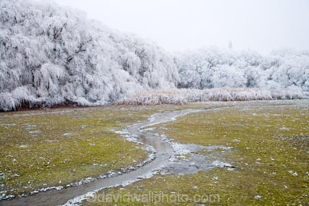 Alexandra;beautiful;Butchers-Dam;calm;calmness;Central-Otago;clean;clear;cold;Coldness;Color;Colour;Daytime;Exterior;freeze;freezing;freezing-fog;frost;Frosted;frosty;high-country;hoar-frost;hoar-frosts;Hoarfrost;hoarfrosts;ice;ice-crystals;icy;idyllic;Landscape;Landscapes;N.Z.;natural;Nature;new-zealand;NZ;Otago;Outdoor;Outdoors;Outside;peaceful;Peacefulness;phenomena;phenomenon;pure;Quiet;Quietness;rime;rime-ice;S.I.;Scenic;Scenics;Season;Seasons;SI;silence;south-island;spectacular;stunning;tranquil;tranquility;tree;trees;view;water;weather;White;willow;willow-tree;willow-trees;willows;winter;Wintertime;wintery;wintry