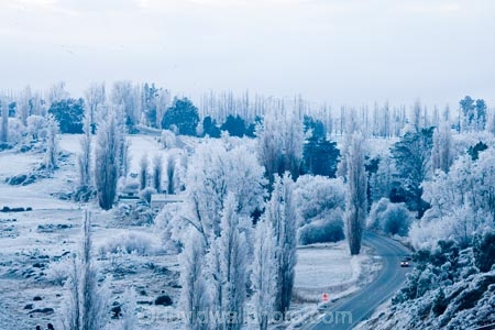 agricultural;agriculture;Alexandra;beautiful;calm;calmness;Central-Otago;clean;clear;cold;Coldness;Color;Colour;country;countryside;Daytime;Exterior;farm;farming;farmland;farms;field;fields;freeze;freezing;freezing-fog;frost;Frosted;frosty;Fruitlands;high-country;hoar-frost;hoar-frosts;Hoarfrost;hoarfrosts;ice;ice-crystals;icy;idyllic;Landscape;Landscapes;meadow;meadows;N.Z.;natural;Nature;new-zealand;NZ;Otago;Outdoor;Outdoors;Outside;paddock;paddocks;pasture;pastures;peaceful;Peacefulness;phenomena;phenomenon;poplar;poplar-tree;poplar-trees;poplars;pure;Quiet;Quietness;rime;rime-ice;rural;S.I.;Scenic;Scenics;Season;Seasons;SI;silence;south-island;spectacular;stunning;tranquil;tranquility;tree;trees;view;water;weather;White;willow;willow-tree;willow-trees;willows;winter;Wintertime;wintery;wintry