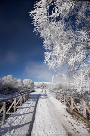 beautiful;bridge;bridges;calm;calmness;Central-Otago;clean;clear;cold;Coldness;Color;Colour;countryside;Daytime;Exterior;extreme-weather;freeze;freezing;frost;Frosted;frosts;frosty;gravel-road;gravel-roads;high-country;hoar-frost;hoar-frosts;Hoarfrost;hoarfrosts;ice;ice-crystals;icy;Ida-Valey;Idaburn;idyllic;Landscape;Landscapes;Maniototo;N.Z.;natural;Nature;new-zealand;NZ;Otago;Outdoor;Outdoors;Outside;peaceful;Peacefulness;phenomena;phenomenon;pure;Quiet;Quietness;rime;rime-ice;road;roads;rural;S.I.;Scenic;Scenics;Season;Seasons;SI;silence;snow;South-Is.;South-Island;spectacular;stunning;track;tracks;tranquil;tranquility;view;water;weather;white;willow-tree;willow-trees;willows;winter;Wintertime;wintery;wintry
