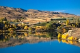 colour;colours;color;colors;yellow;autumn;gold;golden;fall;poplar;poplars;willow;willows;lakes;reflection;reflections;bank;edge