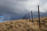 back-country;backcountry;black-cloud;black-clouds;Central-Otago;cloud;cloudy;dark-cloud;dark-clouds;fence;fence-line;fence-lines;fence_line;fence_lines;fenceline;fencelines;fences;grey-cloud;grey-clouds;high-altitude;high-country;highcountry;highlands;N.Z.;New-Zealand;NZ;Otago;rain-cloud;rain-clouds;remote;remoteness;S.I.;SI;South-Island;storm;storm-clouds;storms;stormy;tussock;tussock-grass;tussocks;uiplands;upland;uplands
