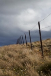 back-country;backcountry;black-cloud;black-clouds;Central-Otago;cloud;cloudy;dark-cloud;dark-clouds;fence;fence-line;fence-lines;fence_line;fence_lines;fenceline;fencelines;fences;grey-cloud;grey-clouds;high-altitude;high-country;highcountry;highlands;N.Z.;New-Zealand;NZ;Otago;rain-cloud;rain-clouds;remote;remoteness;S.I.;SI;South-Island;storm;storm-clouds;storms;stormy;tussock;tussock-grass;tussocks;uiplands;upland;uplands