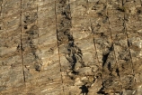 Central-Otago;civil-engineering;Cromwell-Gorge;cutting;drilled-rock;Drilled-rock-cutting;N.Z.;New-Zealand;NZ;Otago;road-cutting;rock-cutting;rock-drilling;S.I.;SI;South-Is.;South-Island;State-Highway-8