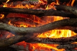 bonfire;bonfires;burn;burned;burning;burns;burnt;camp-fire;camp-fires;camp_fire;camp_fires;campfire;campfires;Central-Otago;cooking-fire;cooking-fires;danger;dangerous;fire;fires;flamable;flame;flames;flaming;heat;hot;N.Z.;New-Zealand;NZ;on-fire;orange;Otago;S.I.;SI;South-Is.;South-Island;wood;wood-fire;wood-fires;woodfire;woodfires
