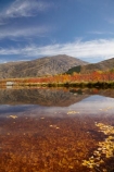 autuminal;autumn;autumn-colour;autumn-colours;autumnal;calm;Carrick-Range;Central-Otago;color;colors;colour;colours;Cromwell;dam;dams;deciduous;fall;gold;golden;irrigation-dam;irrigation-dams;irrigation-pond;irrigation-ponds;leaf;leaves;Mount-Difficulty;Mt-Difficulty;Mt.-Difficulty;N.Z.;New-Zealand;NZ;orchard;orchards;Otago;placid;pond-ponds;quiet;reflection;reflections;Ripponvale;S.I.;season;seasonal;seasons;serene;SI;smooth;South-Is;South-Island;still;tranquil;tree;trees;water;yellow