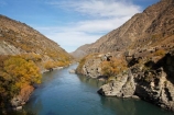 autuminal;autumn;autumn-colour;autumn-colours;autumnal;Central-Otago;color;colors;colour;colours;deciduous;fall;Goldfields;Goldfields-Mining-Centre;Goldfields-tourist-attraction;Kawarau-Gorge;Kawarau-River;leaf;leaves;N.Z.;New-Zealand;NZ;Otago;S.I.;season;seasonal;seasons;SI;South-Is;South-Island;tree;trees