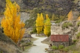 autuminal;autumn;autumn-colour;autumn-colours;autumnal;building;buildings;Central-Otago;color;colors;colour;colours;deciduous;fall;gold-mines;gold-mining;goldfield-relics;Goldfields;Goldfields-Mining-Centre;goldfields-relics;Goldfields-tourist-attraction;heritage;historic;historic-building;historic-buildings;historic-place;historic-places;historic-site;historic-sites;historical;historical-building;historical-buildings;historical-place;historical-places;historical-site;historical-sites;history;Kawarau-Gorge;leaf;leaves;N.Z.;New-Zealand;NZ;old;Otago;Otago-Goldfields;polars;poplar-tree;poplar-trees;S.I.;season;seasonal;seasons;SI;South-Is;South-Island;tradition;traditional;tree;trees