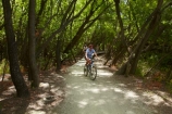 150th-Anniversary-track;Alexandra-_-Clyde-track;Alexandra-to-Clyde-track;bicycle;bicycles;bike;bikes;Central-Otago;Clutha-River-Track;Clyde-_-Alexandra-track;cycle;cycle-track;cycle-tracks;cycler;cyclers;cycles;cycleway;cycleways;cyclist;cyclists;mountain-bike;mountain-biker;mountain-bikers;mountain-bikes;mtn-bike;mtn-biker;mtn-bikers;mtn-bikes;N.Z.;New-Zealand;NZ;Otago;people;person;push-bike;push-bikes;push_bike;push_bikes;pushbike;pushbikes;recreation;S.I.;SI;South-Is;South-Island;Sth-Is;willow;willow-tree;willow-trees;willows
