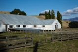 Central-Otago;countryside;farm;Farm-Building;Farm-Buildings;Farm-Shed;Farm-Sheds;farm-yard;farm-yards;farming;farms;farmyard;farmyards;N.Z.;New-Zealand;NZ;Otago;rural;S.I.;Shearing-Shed;Shearing-Sheds;Sheep-Shed;Sheep-Sheds;sheep-yard;sheep-yards;sheepyard;sheepyards;SI;South-Is;South-Is.;South-Island;Sth-Is;Sth-Iscountry;stock-yard;stock-yards;stockyard;stockyards;Tarras;weather-board;weatherboard;Wool-Shed;Wool-Sheds;woolshed;woolsheds