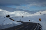 agricultural;agriculture;bend;bends;Central-Otago;cold;coldness;corner;corners;country;countryside;curve;curves;Daytime;driving;East-Otago;Exterior;extreme-weather;farm;farming;farmland;farms;field;fields;freeze;freezing;high-country;highway;highways;hill;hills;Landscape;Landscapes;Maniototo;meadow;meadows;mountain;mountains;N.Z.;natural;Nature;New-Zealand;NZ;open-road;open-roads;Otago;Outdoor;Outdoors;Outside;paddock;paddocks;pasture;pastures;Pig-Root-Highway;Pig-Root-Road;Pig-Route-Highway;Pig-Route-Road;Pigroot-Highway;Pigroot-Road;Pigroute;Pigroute-Highway;Pigroute-Road;road;road-trip;roads;rural;S.I.;Scenic;Scenics;Season;Seasons;SH-85;SH85;SI;snow;snowfall;snowy;snowy-hills;snowy-mountains;South-Is;South-Is.;South-Island;State-Highway-85;State-Highway-Eighty-Five;Sth-Is;straight;straights;The-Pig-Route;The-Pigroot;transport;transportation;travel;traveling;travelling;trip;Waitaki-District;Waitaki-Region;weather;white;winter;winter-driving;winter-driving-conditions;winter-road;winter-road-conditions;winter-roads;Wintertime;wintery;wintry