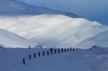 agricultural;agriculture;Central-Otago;cold;Coldness;country;countryside;Daytime;Exterior;extreme-weather;farm;farming;farmland;farms;fence;fence-line;fence-lines;fence_line;fence_lines;fenceline;fencelines;fences;field;fields;freeze;freezing;high-country;hill;hills;Landscape;Landscapes;Maniototo;meadow;meadows;mountain;mountains;N.Z.;natural;Nature;New-Zealand;NZ;Otago;Outdoor;Outdoors;Outside;paddock;paddocks;pasture;pastures;Pig-Root-Highway;Pig-Root-Road;Pig-Route-Highway;Pig-Route-Road;Pigroot-Highway;Pigroot-Road;Pigroute;Pigroute-Highway;Pigroute-Road;rural;S.I.;Scenic;Scenics;Season;Seasons;SH-85;SH85;SI;snow;snowfall;snowy;snowy-hills;snowy-mountains;South-Is;South-Is.;South-Island;State-Highway-85;State-Highway-Eighty-Five;Sth-Is;The-Pig-Route;The-Pigroot;weather;White;winter;Wintertime;wintery;wintry