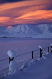 agricultural;agriculture;alpenglo;alpenglow;alpine;alpinglo;alpinglow;Altocumulus-lenticularis;Central-Otago;cloud;clouds;cold;Coldness;color;colors;colour;colours;country;countryside;Daytime;dusk;evening;Exterior;extreme-weather;farm;farming;farmland;farms;fence;fence-line;fence-lines;fence_line;fence_lines;fenceline;fencelines;fences;field;fields;freeze;freezing;Hawkdun-Ra;Hawkdun-Range;high-country;hill;hills;Ida-Ra;Ida-Range;Ida-Valley;Idaburn;Landscape;Landscapes;lens_shaped-cloud;lens_shaped-clouds;lenticular-cloud;lenticular-clouds;Maniototo;meadow;meadows;Mount-Ida;mountain;mountainous;mountains;mt;Mt-Ida;Mt.-Ida;N.Z.;natural;Nature;New-Zealand;night;night_time;nightfall;NZ;orange;Otago;Oturehua;Outdoor;Outdoors;Outside;paddock;paddocks;pasture;pastures;rural;S.I.;Scenic;Scenics;Season;Seasons;SI;snow;snowfall;snowy;snowy-hills;snowy-mountains;South-Is;South-Is.;South-Island;Sth-Is;sunset;sunsets;twilight;weather;White;winter;Wintertime;wintery;wintry