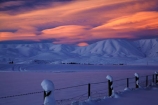 agricultural;agriculture;alpenglo;alpenglow;alpine;alpinglo;alpinglow;Altocumulus-lenticularis;Central-Otago;cloud;clouds;cold;Coldness;color;colors;colour;colours;country;countryside;Daytime;dusk;evening;Exterior;extreme-weather;farm;farming;farmland;farms;fence;fence-line;fence-lines;fence_line;fence_lines;fenceline;fencelines;fences;field;fields;freeze;freezing;Hawkdun-Ra;Hawkdun-Range;high-country;hill;hills;Ida-Ra;Ida-Range;Ida-Valley;Idaburn;Landscape;Landscapes;lens_shaped-cloud;lens_shaped-clouds;lenticular-cloud;lenticular-clouds;Maniototo;meadow;meadows;Mount-Ida;mountain;mountainous;mountains;mt;Mt-Ida;Mt.-Ida;N.Z.;natural;Nature;New-Zealand;night;night_time;nightfall;NZ;orange;Otago;Oturehua;Outdoor;Outdoors;Outside;paddock;paddocks;pasture;pastures;rural;S.I.;Scenic;Scenics;Season;Seasons;SI;snow;snowfall;snowy;snowy-hills;snowy-mountains;South-Is;South-Is.;South-Island;Sth-Is;sunset;sunsets;twilight;weather;White;winter;Wintertime;wintery;wintry