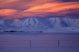 agricultural;agriculture;alpenglo;alpenglow;alpine;alpinglo;alpinglow;Altocumulus-lenticularis;Central-Otago;cloud;clouds;cold;Coldness;color;colors;colour;colours;country;countryside;Daytime;dusk;evening;Exterior;extreme-weather;farm;farming;farmland;farms;fence;fence-line;fence-lines;fence_line;fence_lines;fenceline;fencelines;fences;field;fields;freeze;freezing;Hawkdun-Ra;Hawkdun-Range;high-country;hill;hills;Ida-Ra;Ida-Range;Ida-Valley;Idaburn;Landscape;Landscapes;lens_shaped-cloud;lens_shaped-clouds;lenticular-cloud;lenticular-clouds;Maniototo;meadow;meadows;Mount-Ida;mountain;mountainous;mountains;mt;Mt-Ida;Mt.-Ida;N.Z.;natural;Nature;New-Zealand;night;night_time;nightfall;NZ;orange;Otago;Oturehua;Outdoor;Outdoors;Outside;paddock;paddocks;pasture;pastures;rural;S.I.;Scenic;Scenics;Season;Seasons;SI;snow;snowfall;snowy;snowy-hills;snowy-mountains;South-Is;South-Is.;South-Island;Sth-Is;sunset;sunsets;twilight;weather;White;winter;Wintertime;wintery;wintry