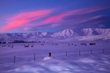 agricultural;agriculture;alpenglo;alpenglow;alpine;alpinglo;alpinglow;Altocumulus-lenticularis;animal;animals;Central-Otago;cloud;clouds;cold;Coldness;color;colors;colour;colours;country;countryside;Daytime;domestic-stock;dusk;evening;ewes;Exterior;extreme-weather;farm;farm-animals;farming;farmland;farms;fence;fence-line;fence-lines;fence_line;fence_lines;fenceline;fencelines;fences;field;fields;flock;flocks;freeze;freezing;Hawkdun-Ra;Hawkdun-Range;herbivore;herbivores;herbivorous;herd;herds;high-country;hill;hills;Ida-Ra;Ida-Range;Ida-Valley;Idaburn;Landscape;Landscapes;lens_shaped-cloud;lens_shaped-clouds;lenticular-cloud;lenticular-clouds;livestock;mammal;mammals;Maniototo;meadow;meadows;mob;mobs;Mount-Ida;mountain;mountainous;mountains;mt;Mt-Ida;Mt.-Ida;N.Z.;natural;Nature;New-Zealand;night;night_time;nightfall;NZ;Otago;Oturehua;outdoor;outdoors;outside;paddock;paddocks;pasture;pastures;rural;S.I.;Scenic;Scenics;Season;Seasons;sheep;SI;snow;snowfall;snowy;snowy-hills;snowy-mountains;South-Is;South-Is.;South-Island;Sth-Is;stock;sunset;sunsets;twilight;weather;White;winter;Wintertime;wintery;wintry
