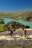 bicycle;bicycles;bike;bike-track;bike-tracks;bike-trail;bike-trails;bikes;Central-Otago;child;children;cycle;cycle-track;cycle-tracks;cycle-trail;cycle-trails;cycler;cyclers;cycles;cyclist;cyclists;families;family;lake;Lake-Roxburgh;lakes;mountain-bike;mountain-biker;mountain-bikers;mountain-bikes;mtn-bike;mtn-biker;mtn-bikers;mtn-bikes;N.Z.;New-Zealand;NZ;Otago;people;person;push-bike;push-bikes;push_bike;push_bikes;pushbike;pushbikes;Roxburgh;Roxburgh-Cycle-Track;Roxburgh-Cycle-Trail;Roxburgh-Gorge;Roxburgh-Gorge-Cycle-and-Walking-Trail;Roxburgh-Gorge-Cycle-Track;Roxburgh-Gorge-Cycle-Trail;Roxburgh-Gorge-Track;Roxburgh-Gorge-Trail;Roxburgh-Gorge-Walking-and-Cycle-Trail;S.I.;season;seasonal;seasons;SI;South-Is;South-Island;spring;spring-time;Sth-is;thyme;thyme-in-flower;tourism;tourist;tourists;violet;wild-thyme