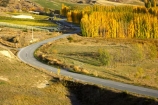 agricultural;agriculture;autuminal;autumn;autumnal;bend;bends;central-otago;central-otago-vineyard;central-otago-vineyards;central-otago-wineries;central-otago-winery;color;colors;colour;colours;corner;corners;country;countryside;crop;crops;cultivation;deciduous;driving;fall;farm;farming;farmland;farms;field;fields;grape;grapes;grapevine;highway;highways;horticulture;leaf;leaves;Mount-Difficulty;Mount-Difficulty-Vineyard;Mount-Difficulty-Winery;Mt-Difficulty;Mt-Difficulty-Vineyard;Mt-Difficulty-Winery;Mt.-Difficulty;Mt.-Difficulty-Vineyard;Mt.-Difficulty-Winery;new-zealand;open-road;open-roads;poplar;poplar-tree;poplar-trees;poplars;road;road-trip;roads;row;rows;rural;south-island;straight;transport;transportation;travel;traveling;travelling;tree;trees;trip;vine;vines;vineyard;vineyards;vintage;wine;wineries;winery;wines